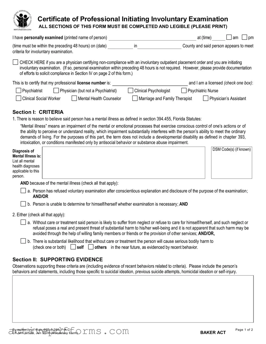 Free Baker Act PDF Template