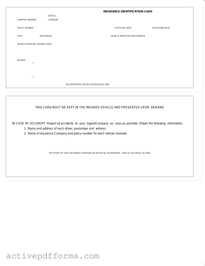 Free Auto Insurance Card PDF Template