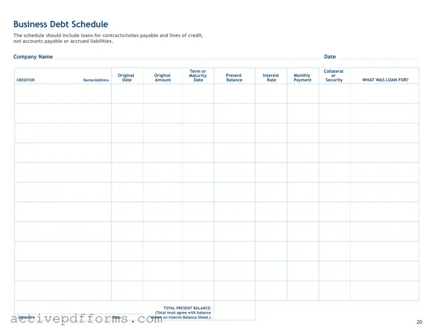 Free Business Debt Schedule PDF Template