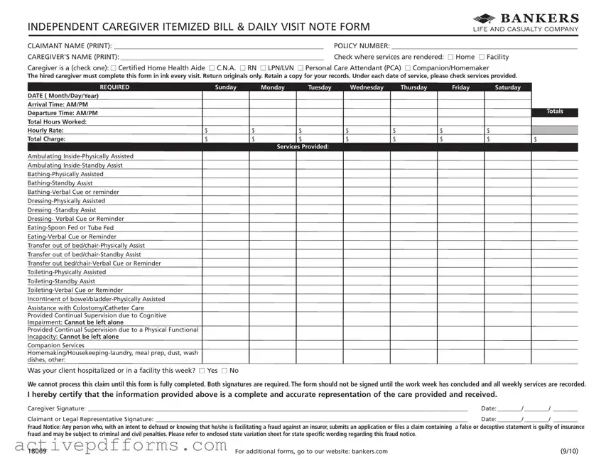 Free Caregiver Daily Log PDF Template