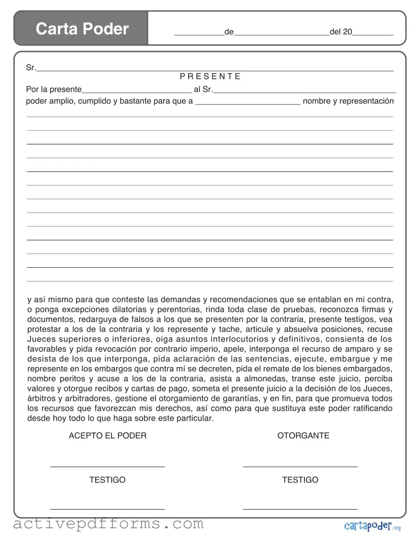 Free Carta Poder PDF Template