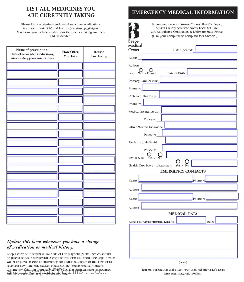 Free File Of Life PDF Template
