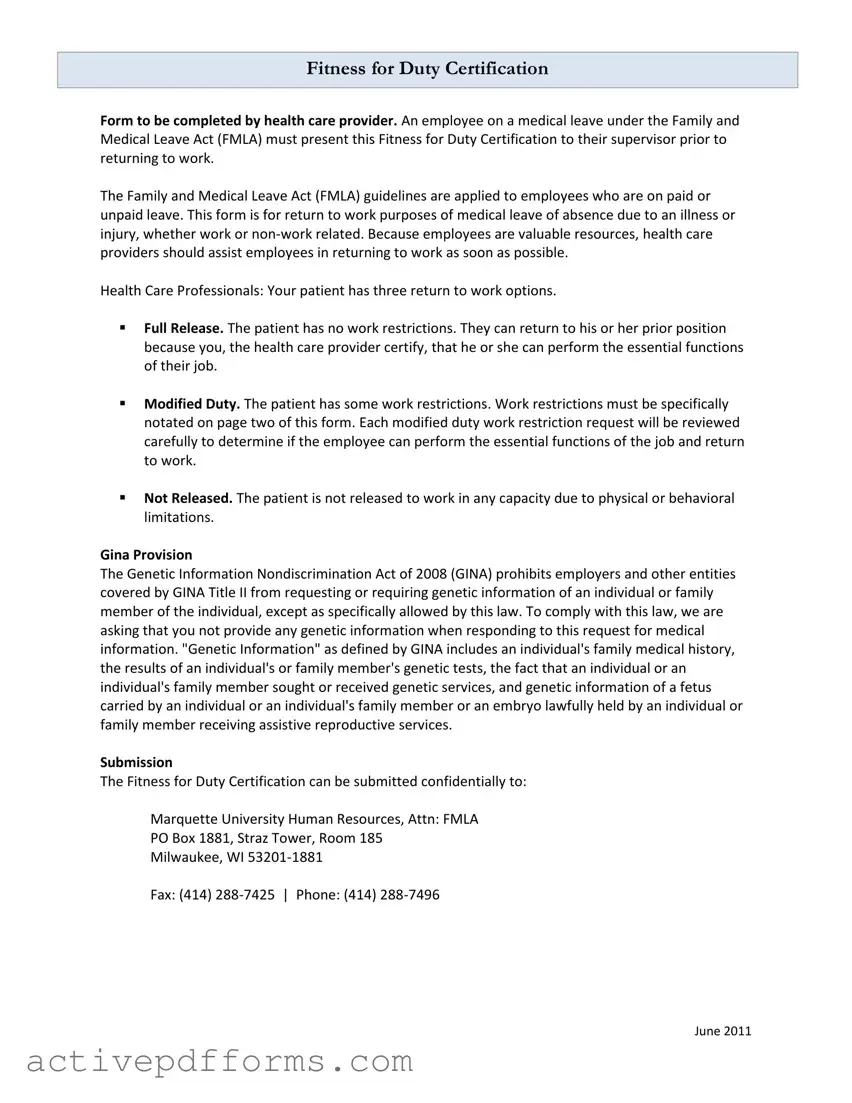 Free Fitness For Duty PDF Template