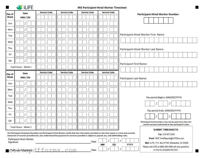 Free Iris Worker Timesheet PDF Template