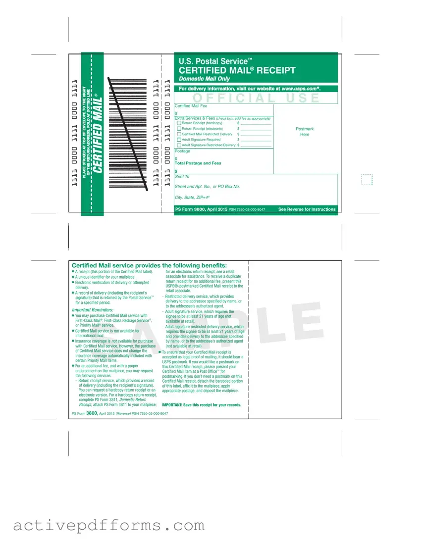 Free Ps 3800 PDF Template