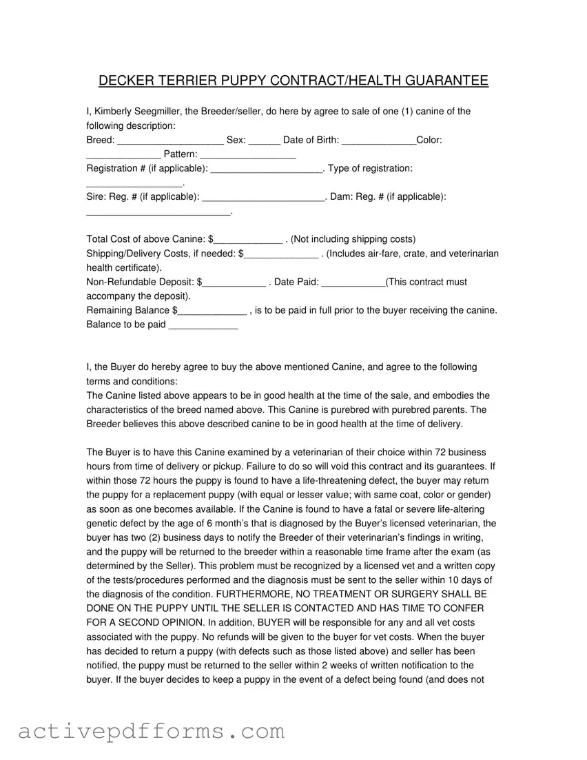 Free Health Guarantee PDF Template