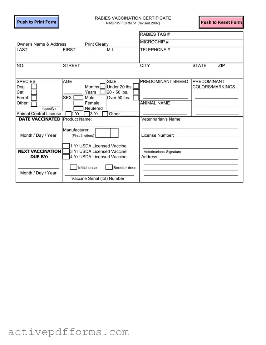 Free Rabies Certificate PDF Template
