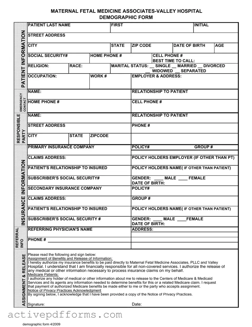 Free Patient Demographics PDF Template