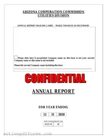 Free Arizona Annual Report PDF Template