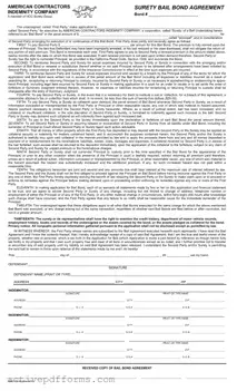 Free Bail Bond Release Paperwork PDF Template