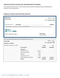 Free Payroll Check PDF Template