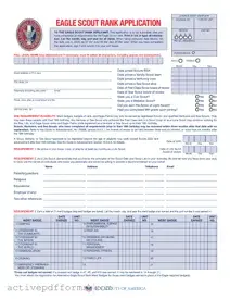 Free Eagle scout rank application PDF Template