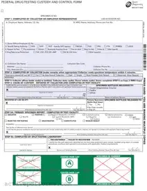 Free Drug Screen PDF Template