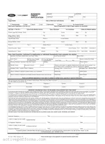 Free Ford Business Credit Application PDF Template