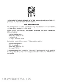 Free IRS 1024 PDF Template