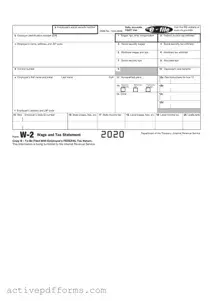 Free IRS W-2 PDF Template