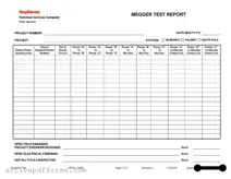 Free Megger Test PDF Template