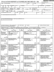 Free Navy Evaluation PDF Template