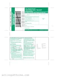 Free Ps 3800 PDF Template
