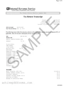 Free Sample Tax Return Transcript PDF Template