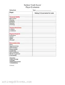 Free Soccer Player Evaluation PDF Template