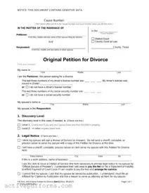 Free Texas Law Help FM-DivC-100 Original Petition for Divorce Set C PDF Template