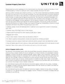 Free United Airlines PDF Template