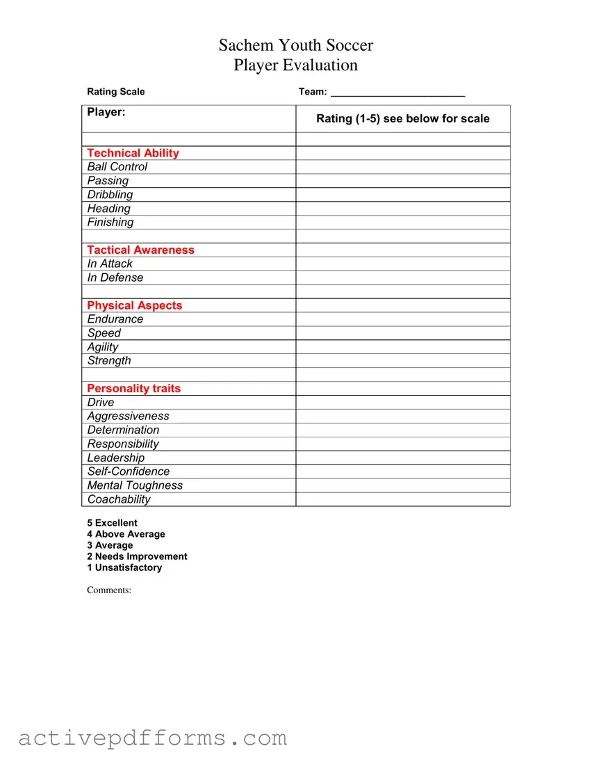 Free Soccer Player Evaluation PDF Template