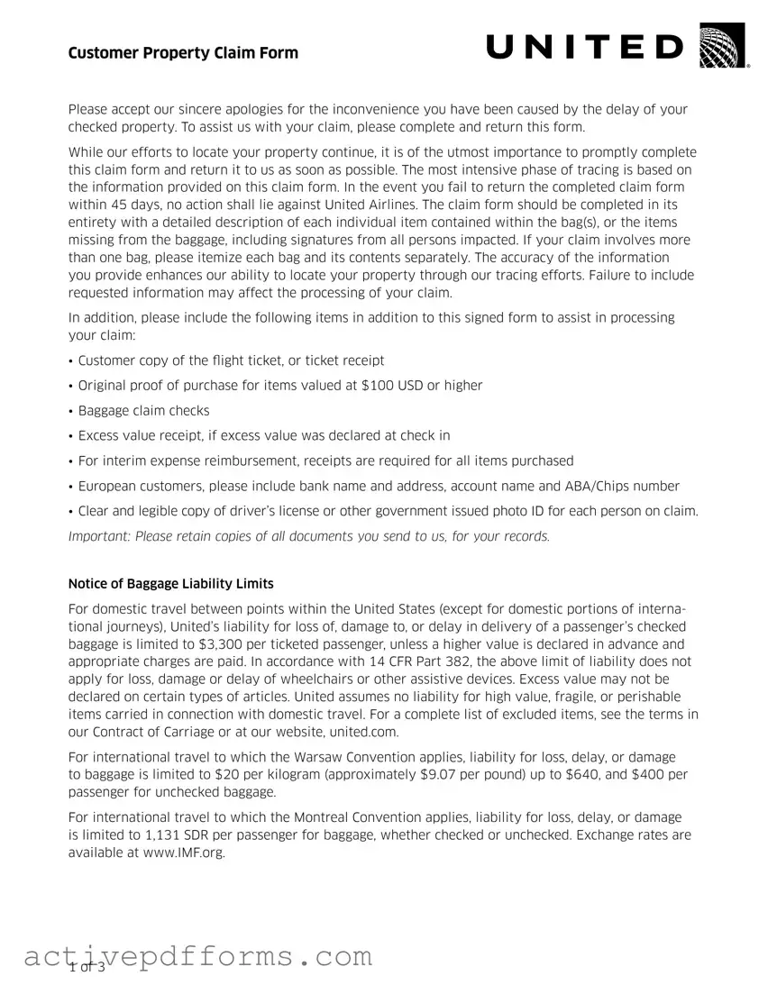 Free United Airlines PDF Template