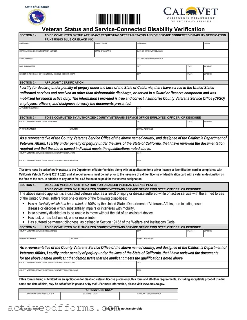 Free Vsd 001 PDF Template